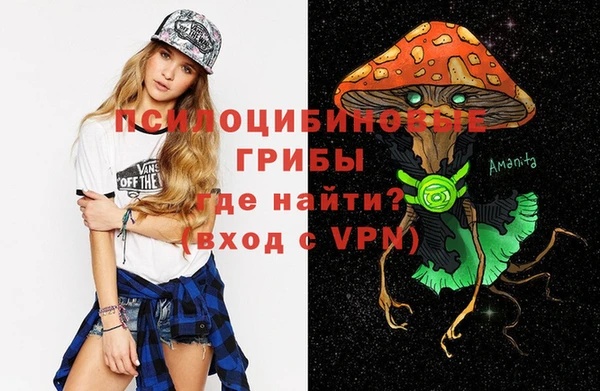 бошки Абаза